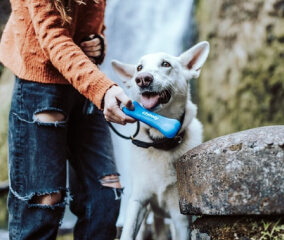 Contagion covid 19 contagion img card 1